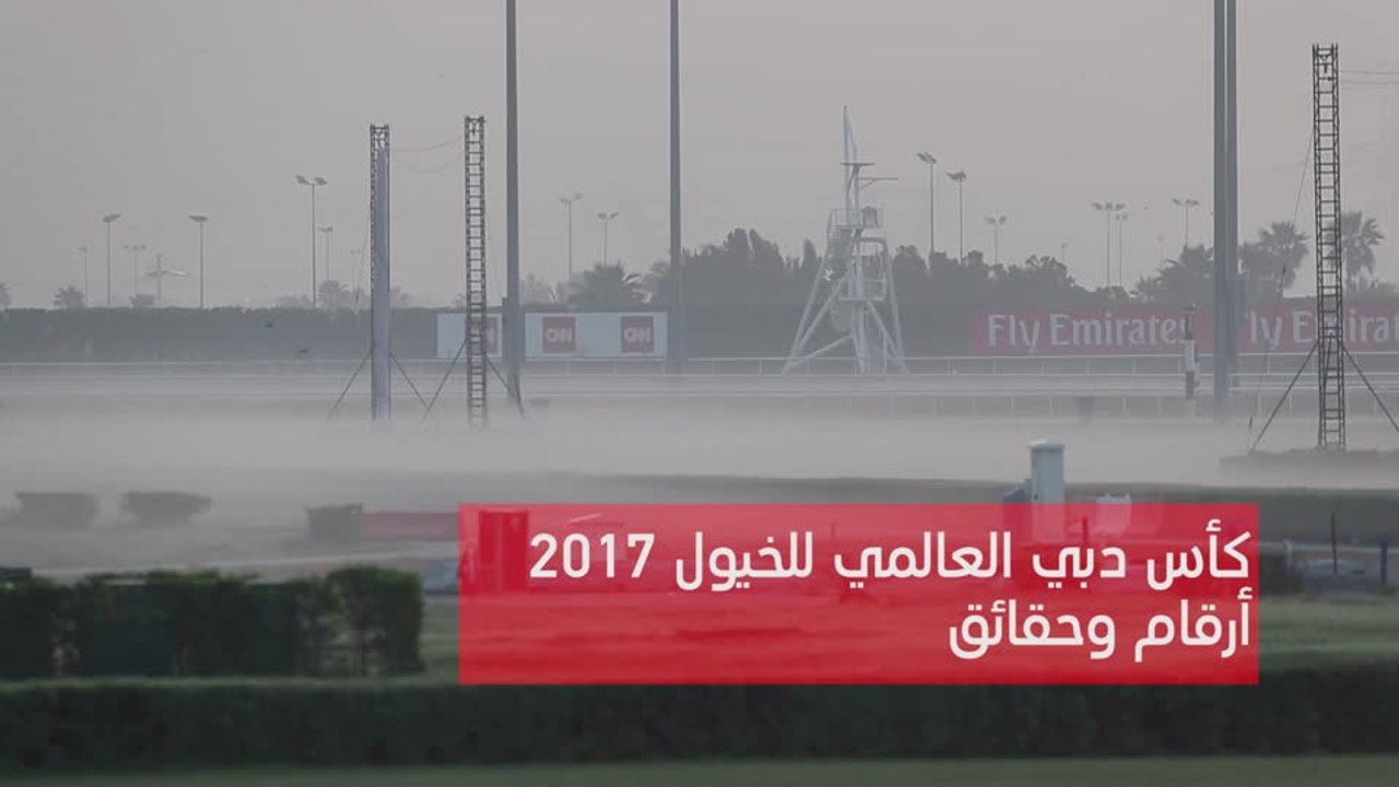 بالفيديو.. حقائق وأرقام عن كأس دبي العالمي