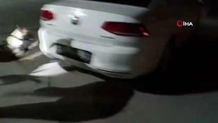 Otomobilin gizli bölmesinde torba torba uyuşturucu ele geçirildi