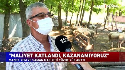 Kurbanlık fiyatlar arttı! Müşteri fiyattan, besici maliyetten yakınıyor!