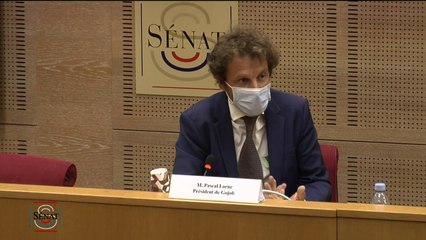 Distribution de la propagande électorale : "Ce ne sont pas des métiers très durs."