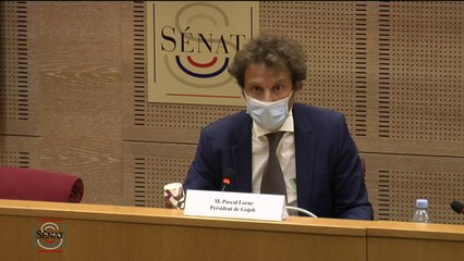 Gojob : "Je n’ai pas été inquiété une seule fois de retours problématiques sur nos intérimaires"