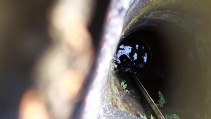 Cat Rescued After Falling Down Well
