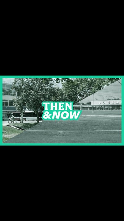 Dufferin Mall: The Little Shopping Centre That Could