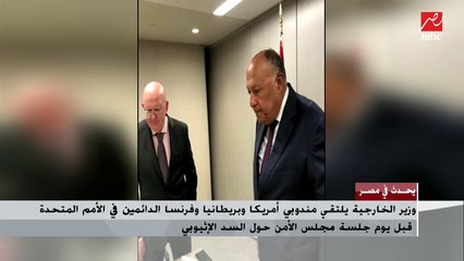 وزير الخارجية يلتقي مندوبي أمريكا وبريطانيا وفرنسا الدائمين في الأمم المتحدة