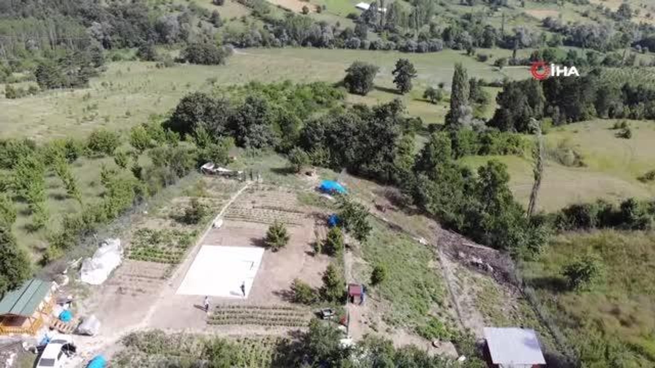 Zehirlenen sakat ve hasta köpeklerinin başında göz yaşı döktü