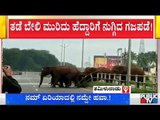 Wild Elephants Cross Coimbatore-Mettupalyam Highway Breaking The Divider