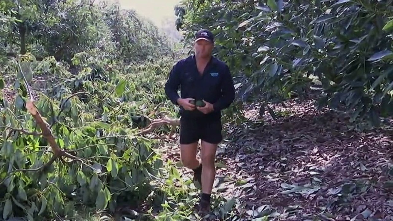 Qld farmers face water security threat over Paradise Dam