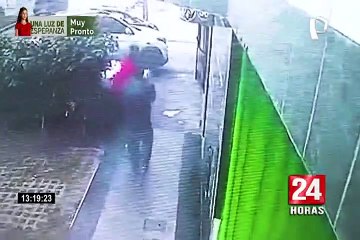 SMP: Dos sujetos roban cachorra raza pitbull