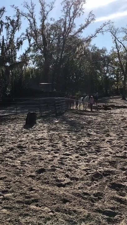 2020 03 01 15 32 55 Horseback Riding