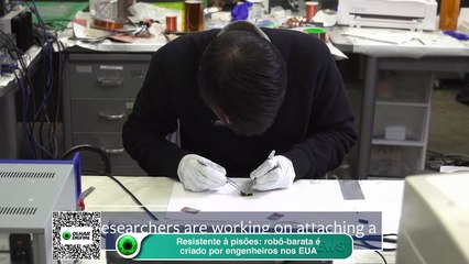 Resistente à pisões- robô-barata é criado por engenheiros nos EUA