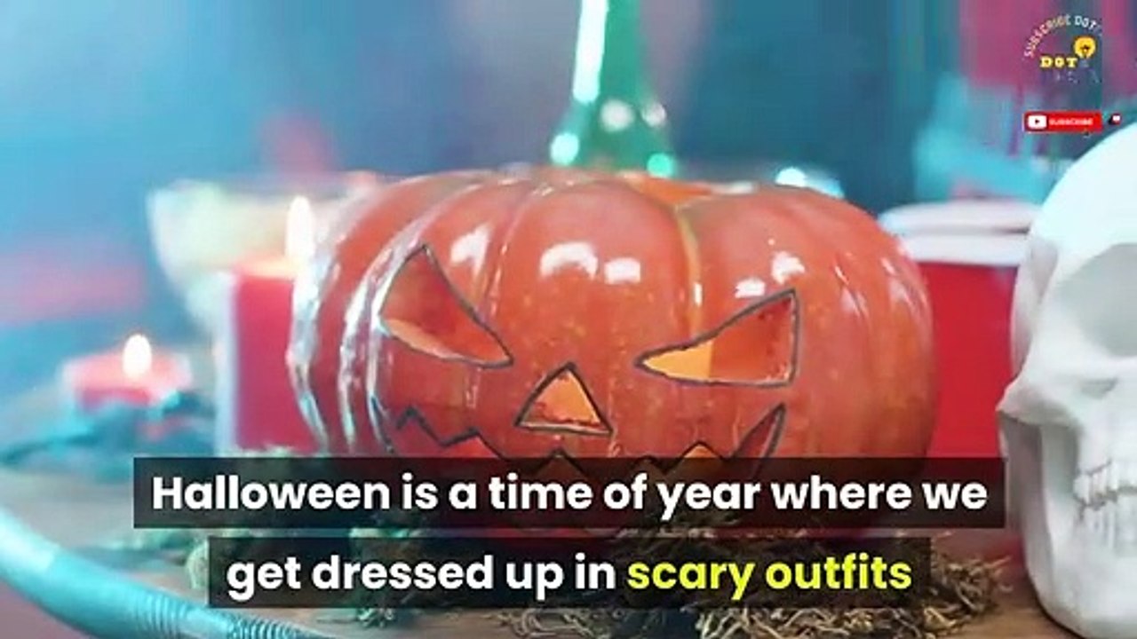 BLACK CATS & HALLOWEEN - Why Are Black Cats Associated With Halloween - Halloween Special