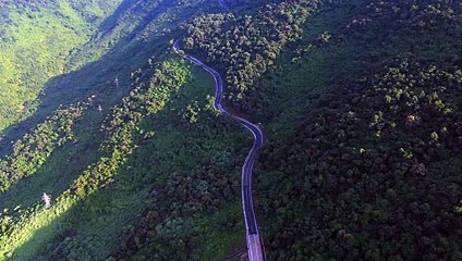 Road Winding Through Forested Hills