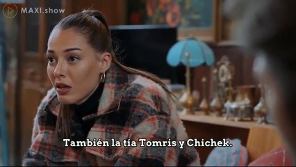 Fuego Fuego (Alev Alev) Capitulo 26