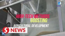 High-tech methods boosting agricultural development in east China