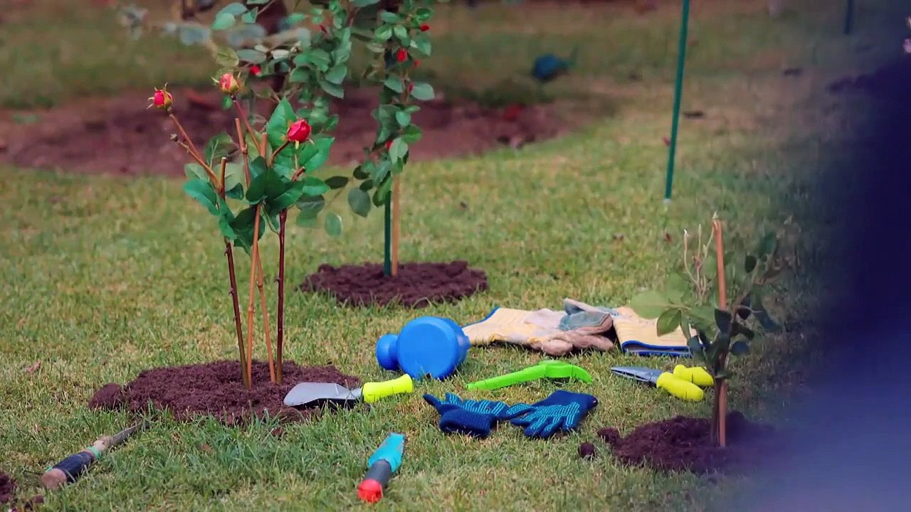 Fuerza de Mujer Capitulo 161 parte 1 de 2 Español latino video Dailymotion