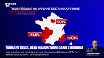 Covid-19: le variant Delta est désormais majoritaire dans trois régions