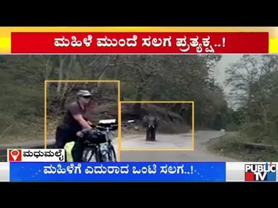 An Elephant Appears Before A Woman Cycling At M...