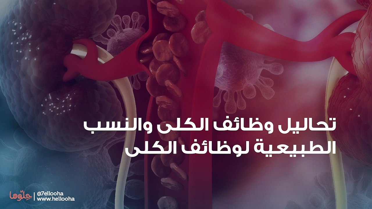 تحاليل وظائف الكلى والنسب الطبيعية لوظائف الكلى