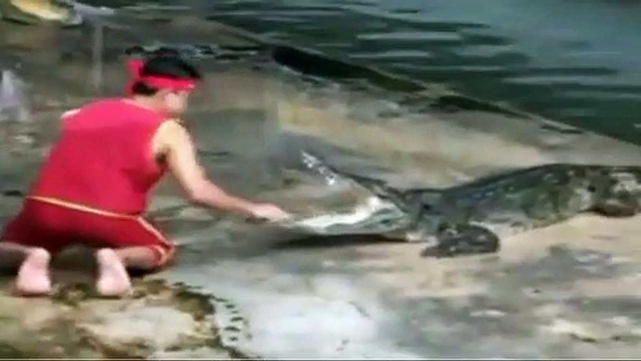 Timsah ile gösteri yapan çocuğun aklı çıktı