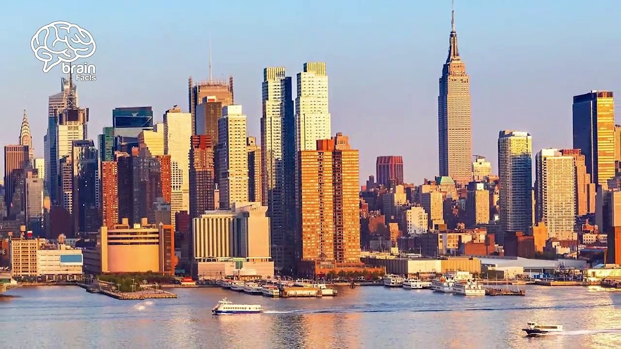 Interesting facts in start our world looks like