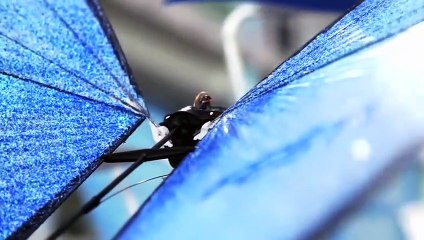 8 ADVANCED ROBOTS ANIMAL YOU NEED TO SEE