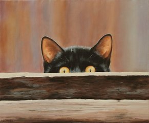 5 chats très bien camouflés, à vous de les retrouver