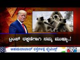Langurs Deployed To Keep Away Monkeys During Donald Trump's Agra Visit Today