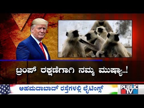 Langurs Deployed To Keep Away Monkeys During Donald Trump's Agra Visit Today