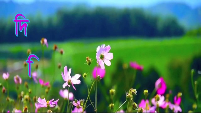 দিরিলিস আর্তগোল - পর্ব ১১ ❇ Dirilis Ertugrul - Episode 11 ❇ The Rise of Ottoman Empire ❇ Turkish Series Resurrection Ertugrul