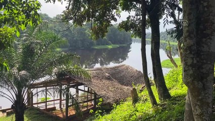YAOUNDE - Kamerun’da Nyong nehri eşsiz manzarasıyla büyülüyor