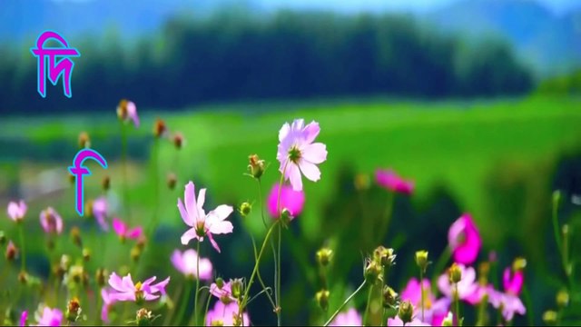 দিরিলিস আর্তগোল - পর্ব ১৩ ❇ Dirilis Ertugrul - Episode 13 ❇ The Rise of Ottoman Empire ❇ Turkish Series Resurrection Ertugrul