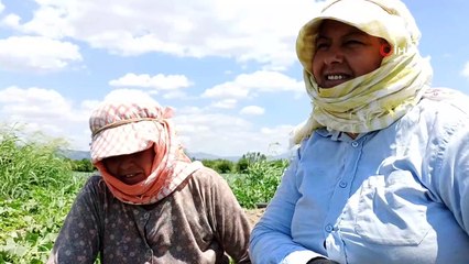 40 derece sıcakta ekmek mücadelesi