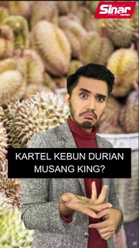 Kartel kebun durian musang king?