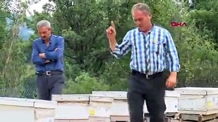 Kızına boşanma davası açan damadının arı kovanlarını parçaladı