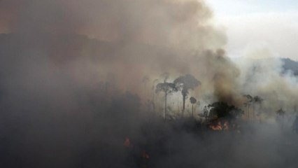 "Çevre soykırımı" savaş suçu olarak kabul edilebilir mi?