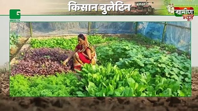 55% subsidy to farmers for installation of drip and sprinkler sets. Farmers can apply till July 18 to take benefits | Kisan Bulletin