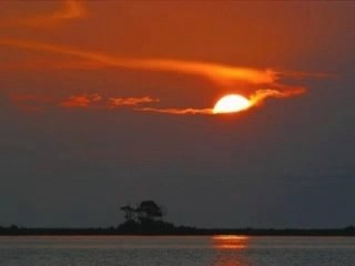 Meditação (Meditation) - Jive's composition