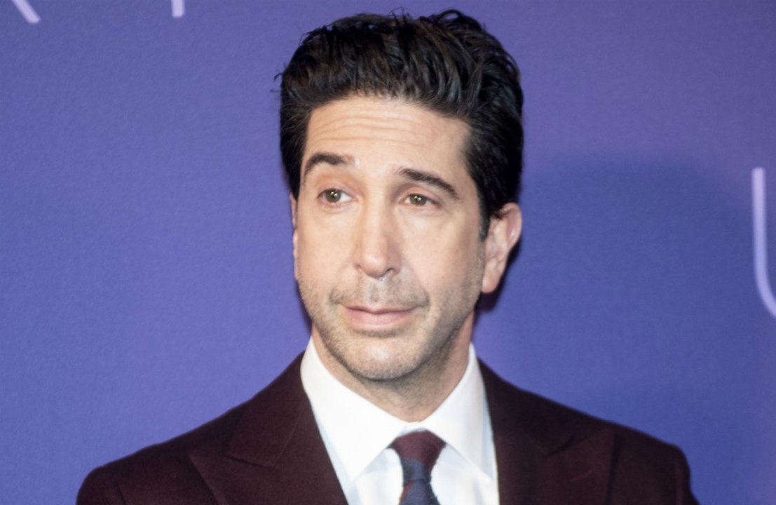 David Schwimmer: Eifersüchtig auf Affe Marcel?