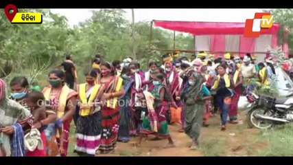 Plantation Drive In Binika On Occasion Of Van Mahotsav