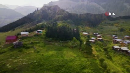 Artvin'in yaylalarında hayat hem zor hem keyifli