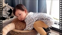 Babies and Cats are Best Friends  | Funny Baby and Cats