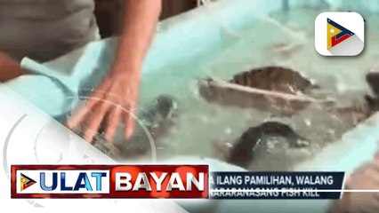 Supply at presyo ng isda sa ilang pamilihan, walang paggalaw sa kabila ng nararanasang fish kill
