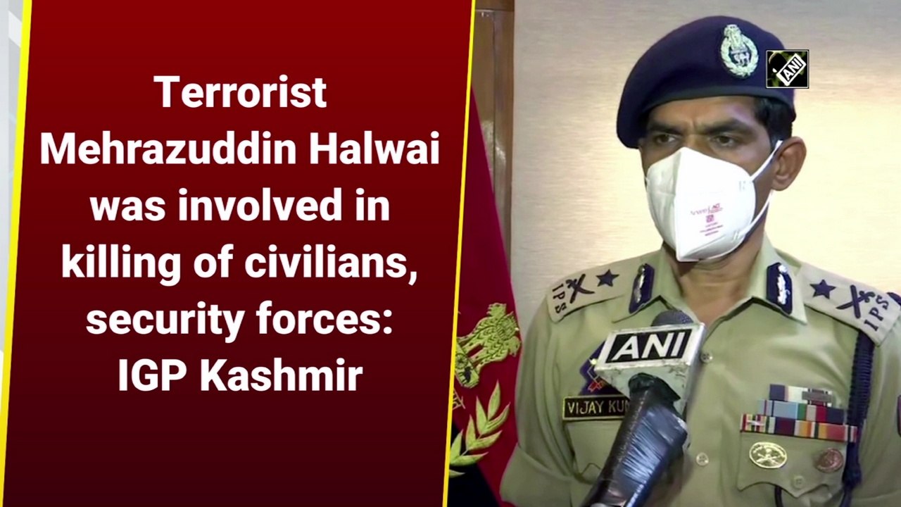 Terrorist Mehrazuddin Halwai was involved in killing of civilians, security forces: IGP Kashmir