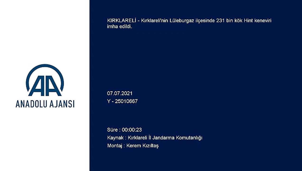 KIRKLARELİ - 231 bin kök Hint keneviri yakılarak imha edildi