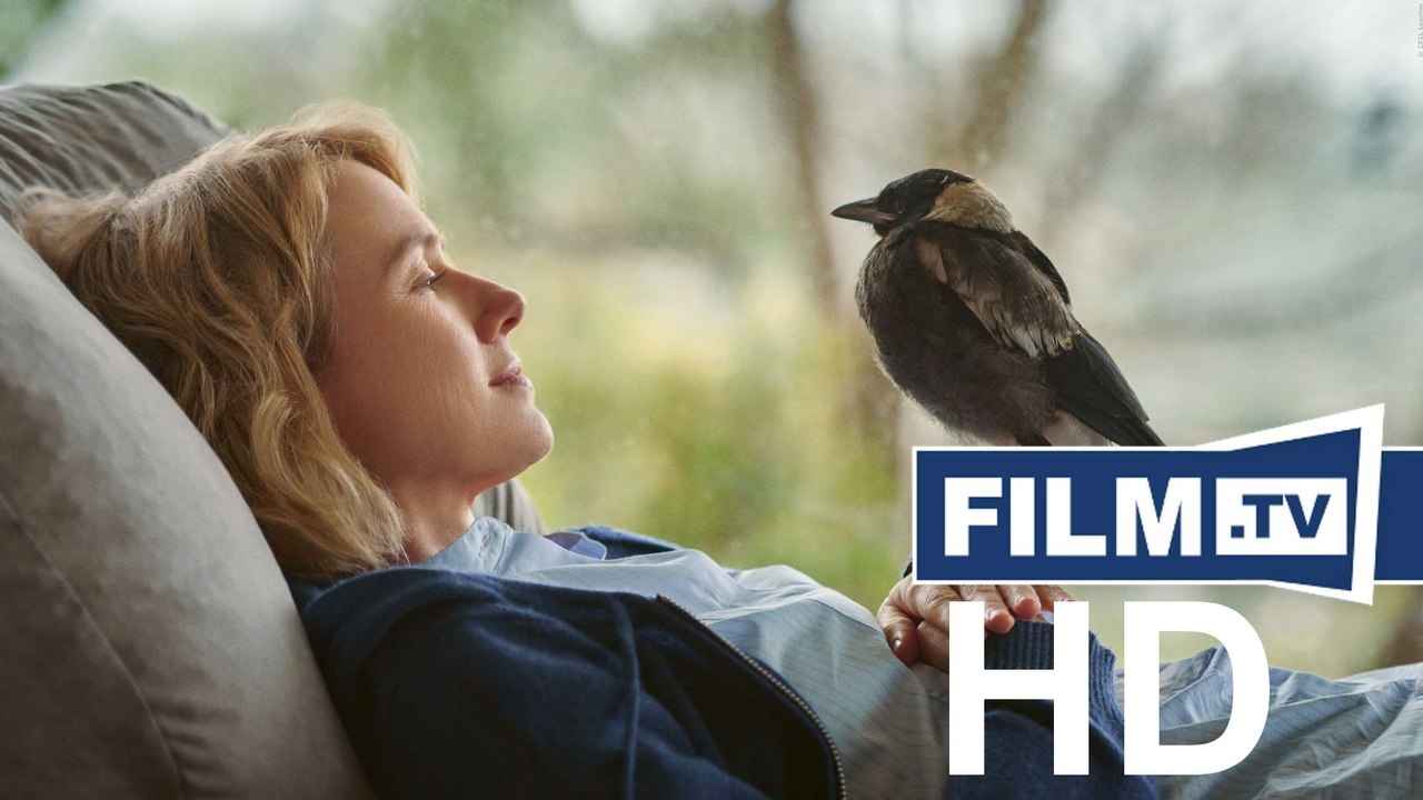 Beflügelt - Ein Vigel namens Penguin Bloom Trailer Deutsch German (2021)