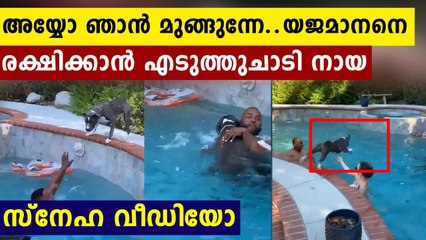 The puppy jumped into the pool to save his master:viral video | Oneindia Malayalam