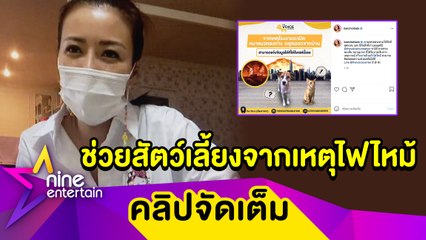 “เก๋” ช่วยอพยพหมา-แมว กว่า 50 เคส จากเหตุไฟไหม้โรงงานกิ่งแก้ว (คลิปจัดเต็ม)