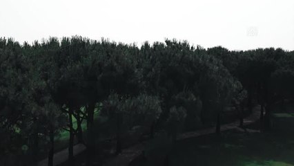 Ergin Ataman, YouTube kanalında Bakan Kasapoğlu'na konuk oldu (1)