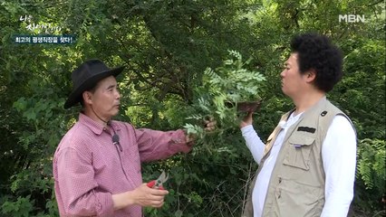 "향어 잡내엔 이게 최고지~!" 자연인만의 '향어 매운탕' 비법 재료가 있다?!