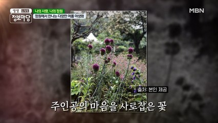 『나의 사랑, 나의 정원』여름 감성이 가득 담긴 여름꽃의 향연